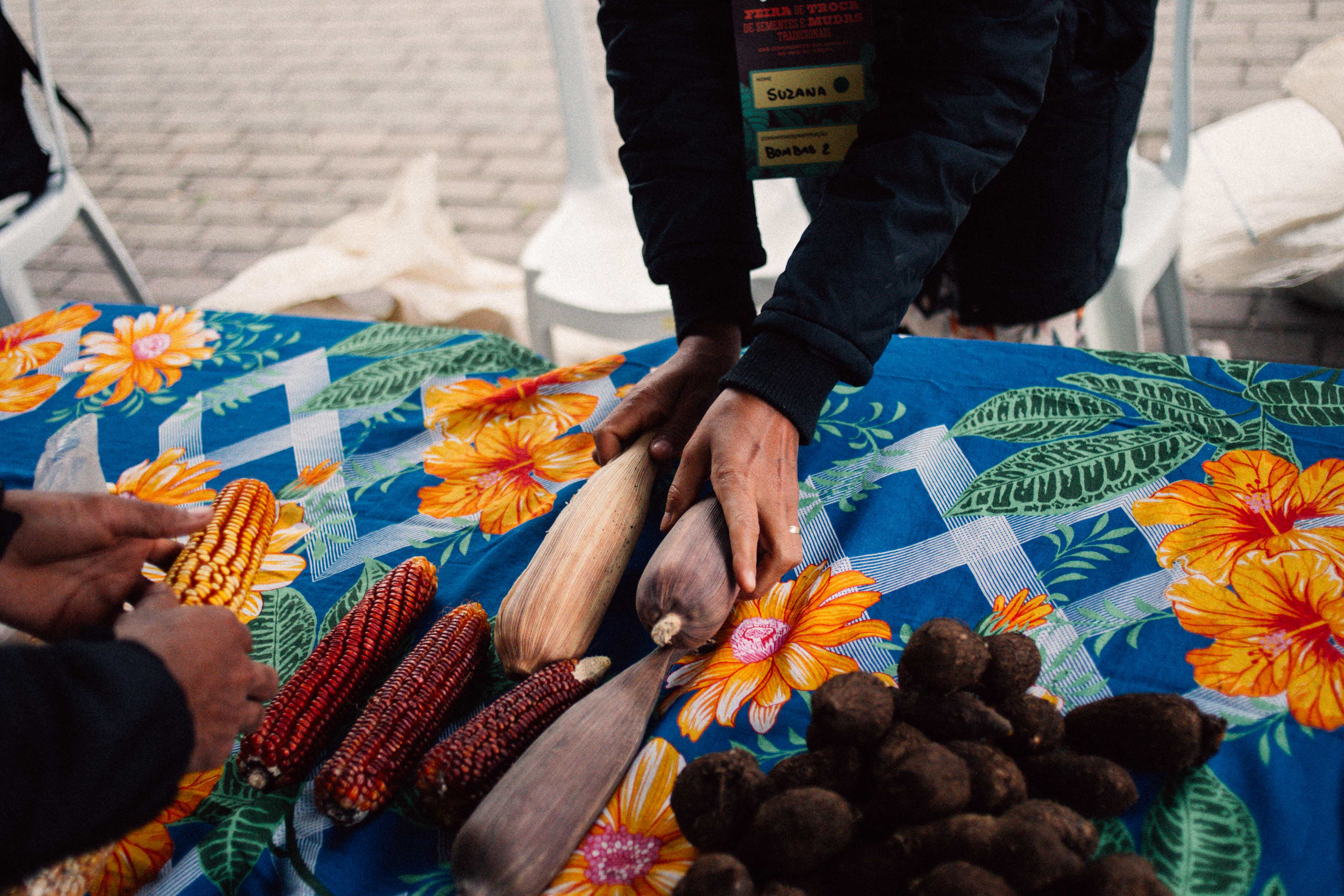 Variedade de milho também puderam ser adquiridas ou trocadas|Julio César Almeida/ISA