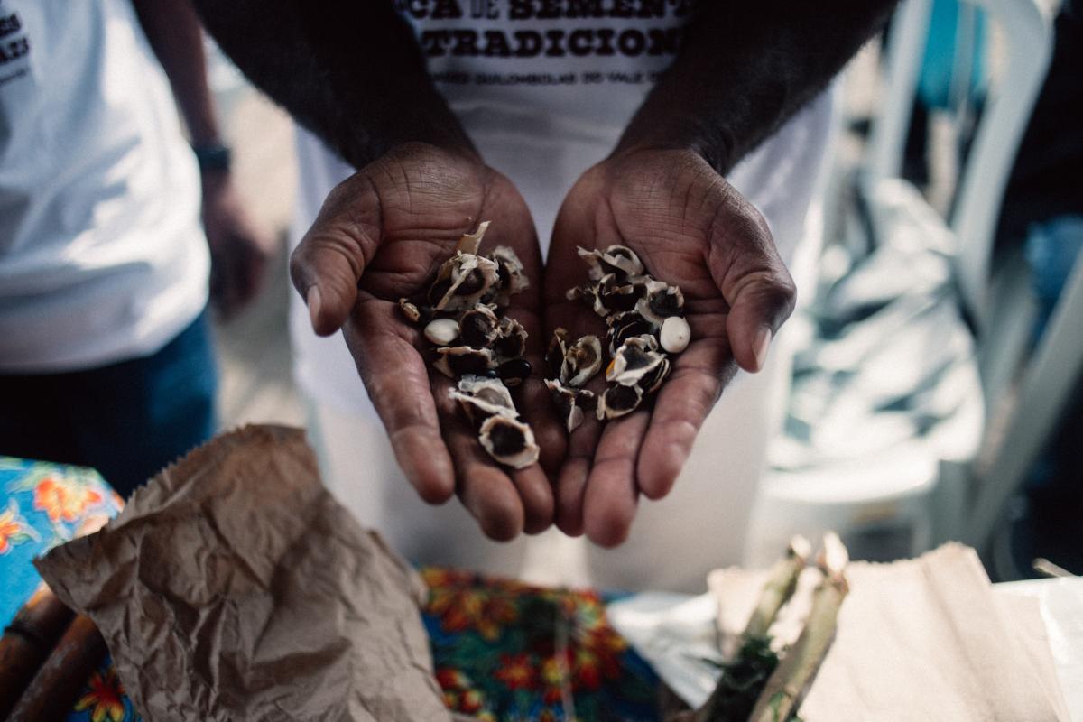 14ª edição da Feira de Troca de Sementes e Mudas do Vale do Ribeira, evento destinado à preservação cultural e preservação de espécies nativas | Júlio César Almeida / ISA 