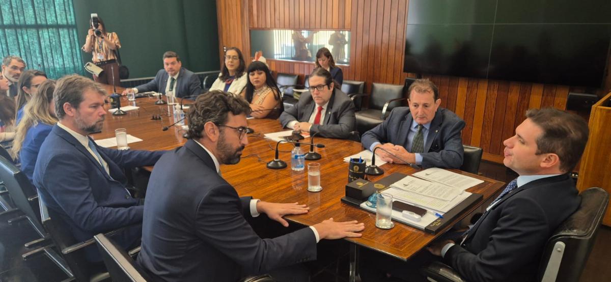 Reunião de Hugo Motta com sociedade civil e Frente Parlamentar Ambientalista |  Leonardo Aragão / Ass. Deputado Nilto Tatto