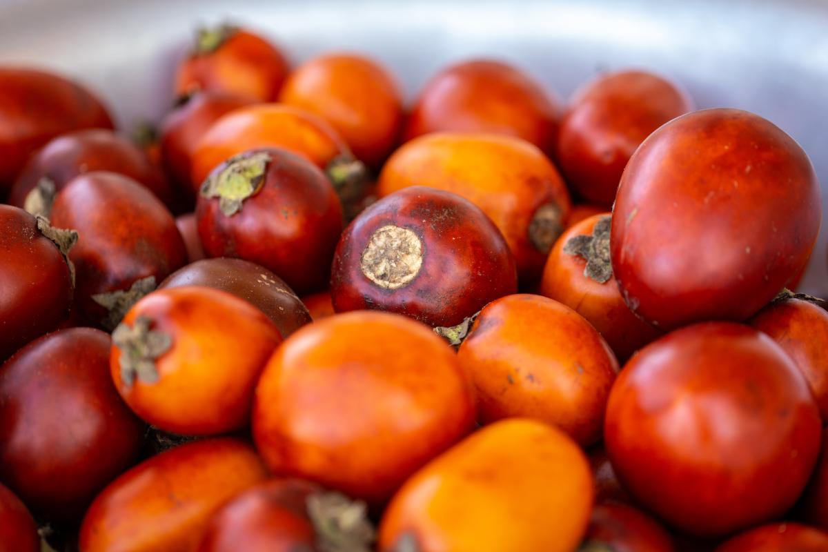 Foto mostra a PANC Cubiu