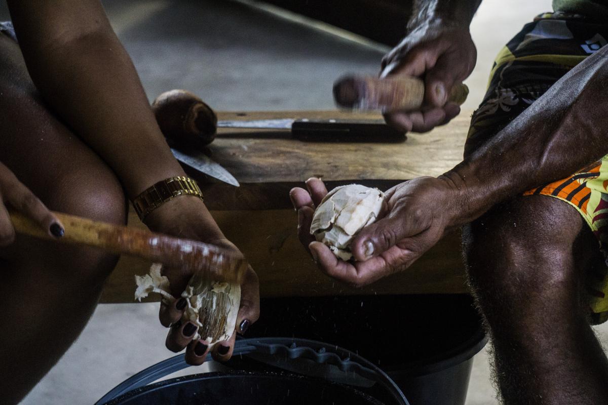 Processamento do babaçu, Terra do Meio