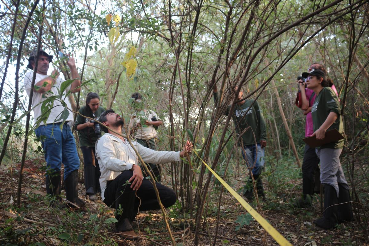 Oficina de Monitoramento em área restaurada por semeadura direta de muvuca de sementes nativas, na Fazenda Santa Maria do Monjolinho, durante a Expedição Caminhos da Semente. Ao centro, Edézio Miranda, técnico da Caminhos da Semente/Agroicone