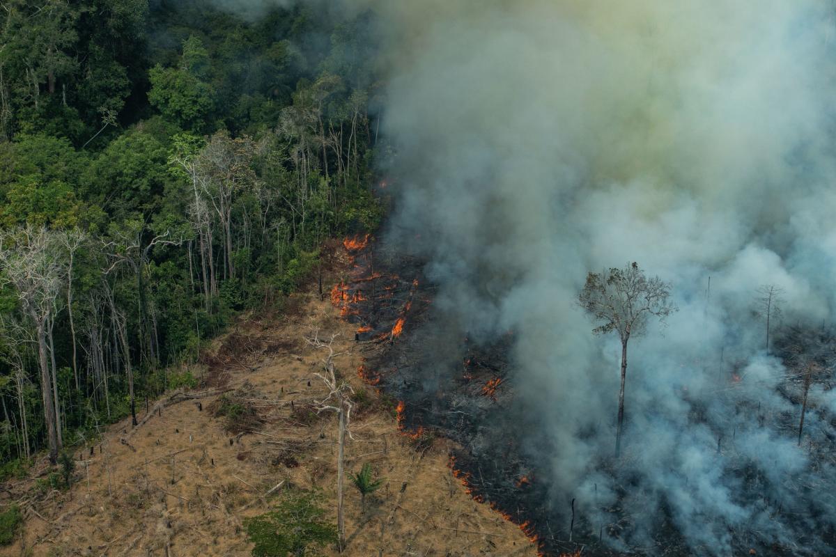 Queimadas na floresta amazônica em agosto de 2019, Candeias do Jamari, Rondônia