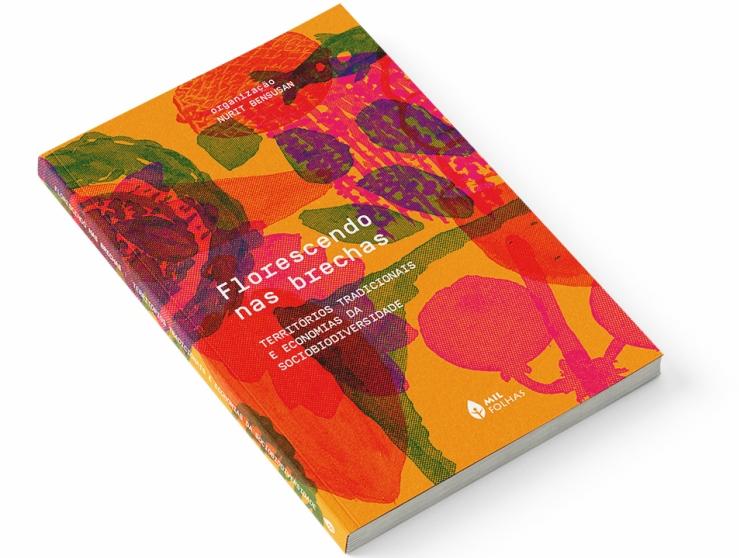 Capa do livro Florescendo nas brechas