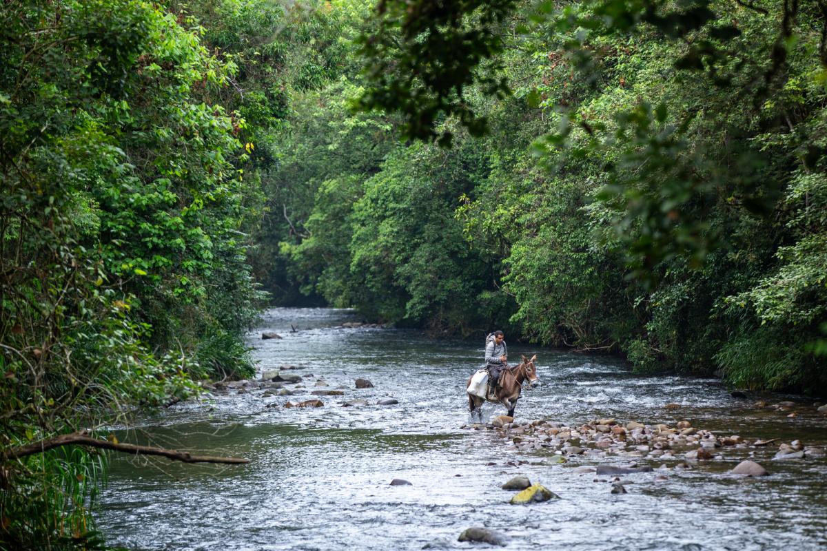 Quilombo de Bombas, em Iporaganga, no Vale do Ribeira, sudeste de São Paulo, é um exemplo de território com grande quantidade de CARs de invasores e posseiros sobrepostos | Felipe Abreu / ISAde invasores 
