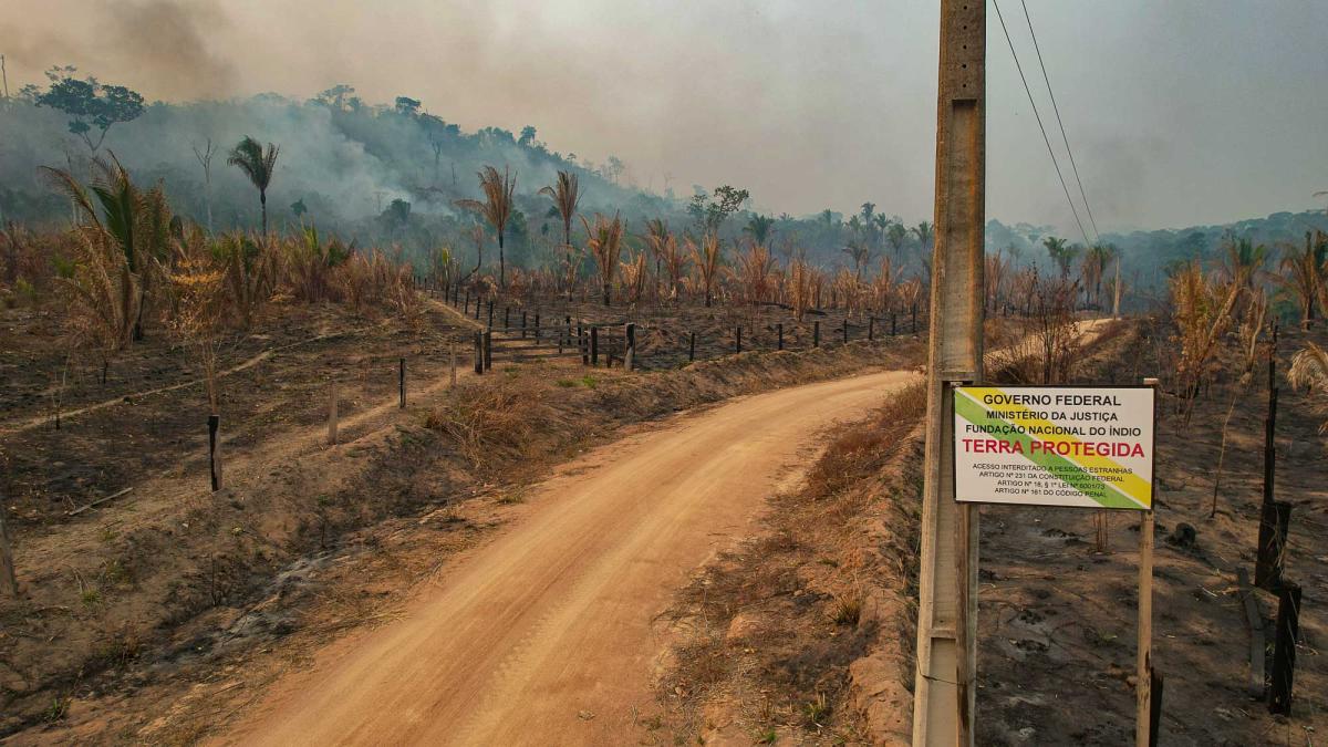 Imagem mostra a TI Baú, que foi um dos territórios afetados pela destruição ambiental decorrente da construção da Ferrogrão 