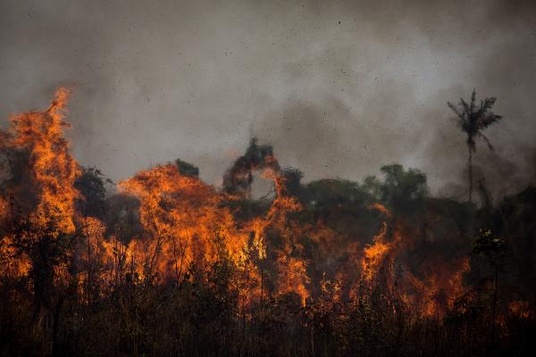 Incêndio florestal perto da rodovia BR-319 (Manaus-Porto Velho), no Amazonas, em 2020 | Bruno Kelly / Amazônia Real